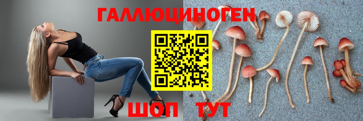 Псилоцибиновые грибы мухоморы Бирск